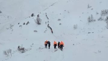 Artvin'de çığ felaketi. Kayıp çobanlardan birinin daha cansız bedeni bulundu
