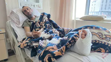 Bingöl'de domuz saldırısına uğrayan adam köpeği sayesinde kurtuldu