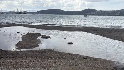 Bodrum sahilinde korkutan görüntü