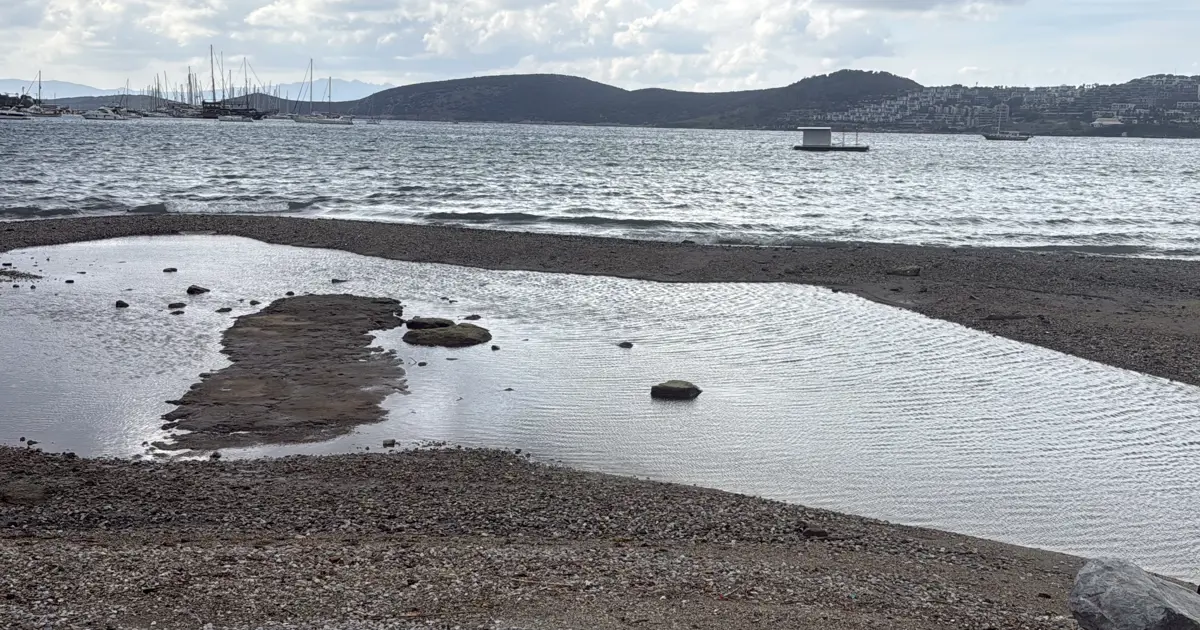 Bodrum sahilinde korkutan görüntü