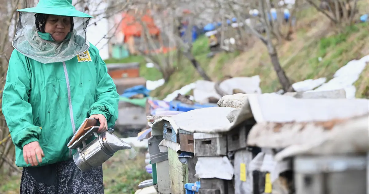 Ata mesleğine sahip çıktı. 45 yıldır yapıyor,  3 kardeşini  bu iş sayesinde okuttu