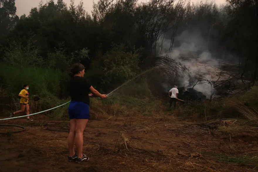 Şili'de yangın felaketi. 19 kişi öldü, OHAL ilan edildi  5