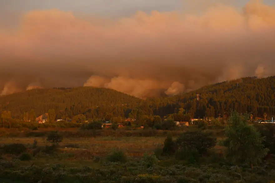 Şili'de yangın felaketi. 19 kişi öldü, OHAL ilan edildi  3