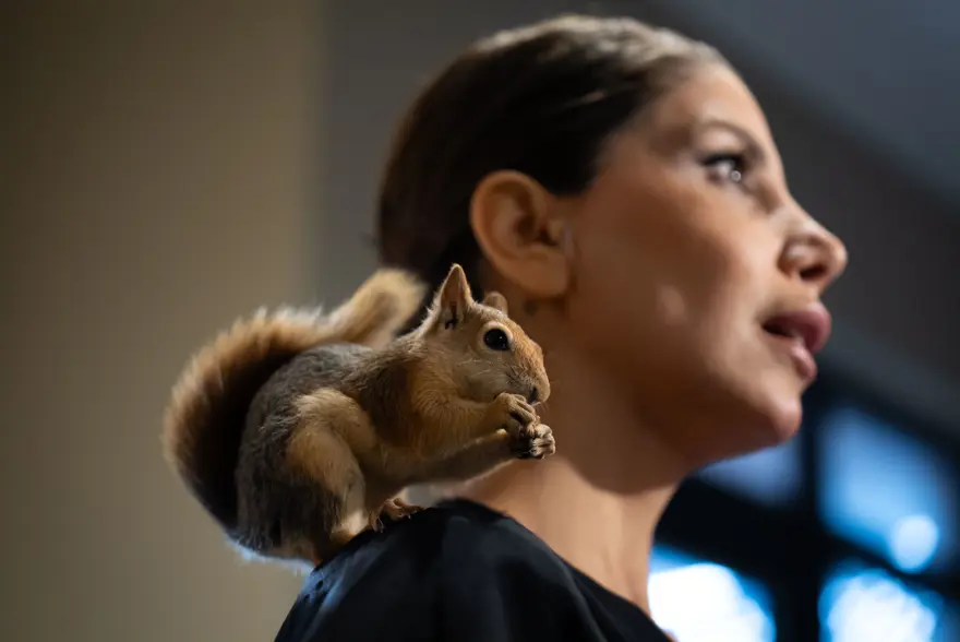 İlk geldiğinde beslenmeyi bile bilmiyordu. Sincap Yoda şimdi makarna ve pizza yiyor 5