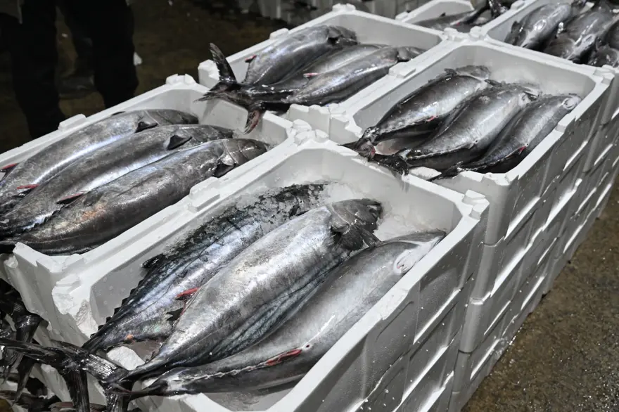 30-40 YILDIR BÖYLE AKIN OLMAMIŞTI 2 30-40 YILDIR BÖYLE AKIN OLMAMIŞTI 2