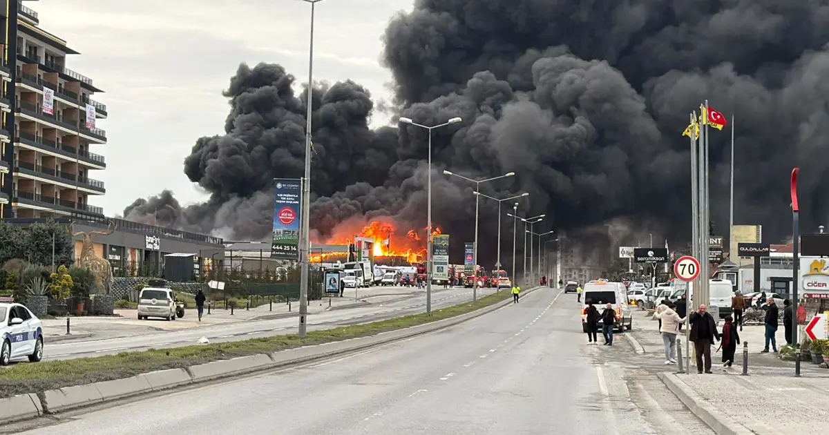 Büyükçekmece'de şirket deposunda yangın