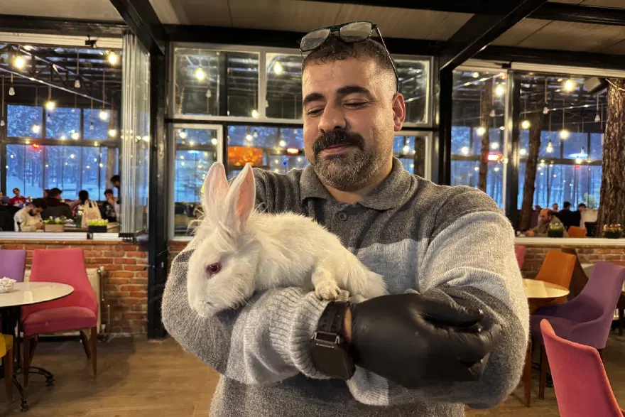 Kedinin ağzından kurtarılan "Tombiş" kafenin maskotu oldu 4 Kedinin ağzından kurtarılan "Tombiş" kafenin maskotu oldu 4