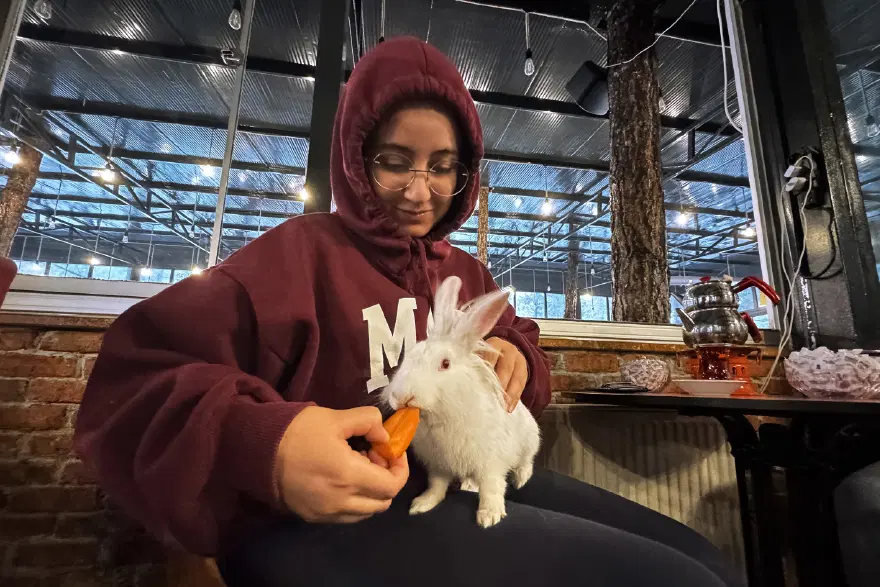 Kedinin ağzından kurtarılan "Tombiş" kafenin maskotu oldu 3 Kedinin ağzından kurtarılan "Tombiş" kafenin maskotu oldu 3
