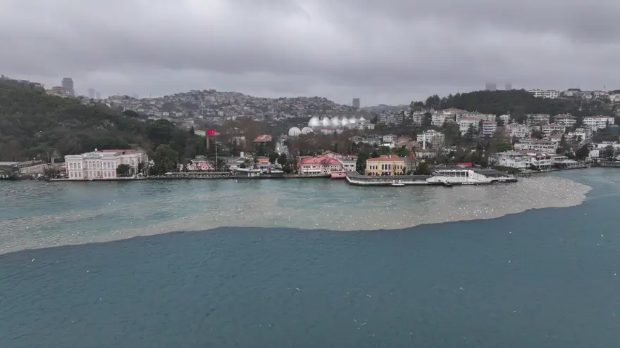 İstanbul'da kuvvetli yağış sonrası Boğaz'a çamur aktı 3