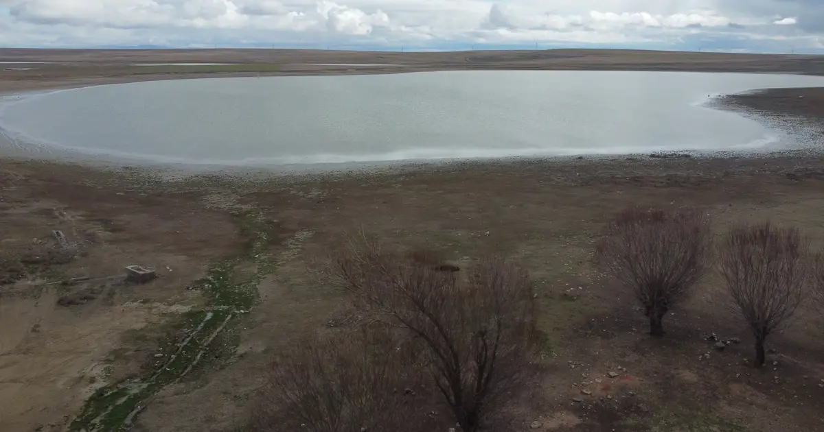 Dört yıl önce tamamen kurumuştu. "Kuş Cenneti" yeniden su tutmaya başladı