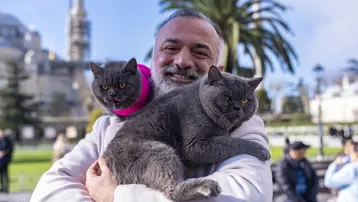 8 kilo kedileri omzunda taşıyor. Gezgin kediler sahibinin omzunda İstanbul'u geziyor