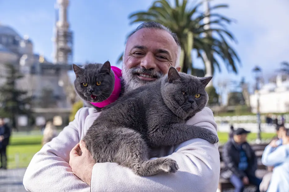 8 kilo kedileri omzunda taşıyor. Gezgin kediler sahibinin omzunda İstanbul'u geziyor