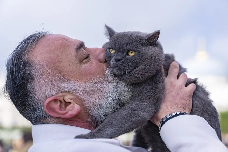 8 KİLO KEDİ TAŞIYOR 2