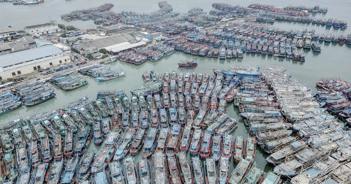 2 binden fazla tekne limana yanaştı. Deniz trafiği hareket edemez hale geldi