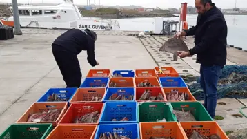 Kaçak avlanan 850 kilogram kalkan balığına el konuldu. 5 kişiye 905 bin TL ceza