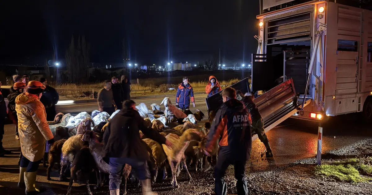 Kayseri'de taşkın önlemi. 200 hayvan tahliye edildi