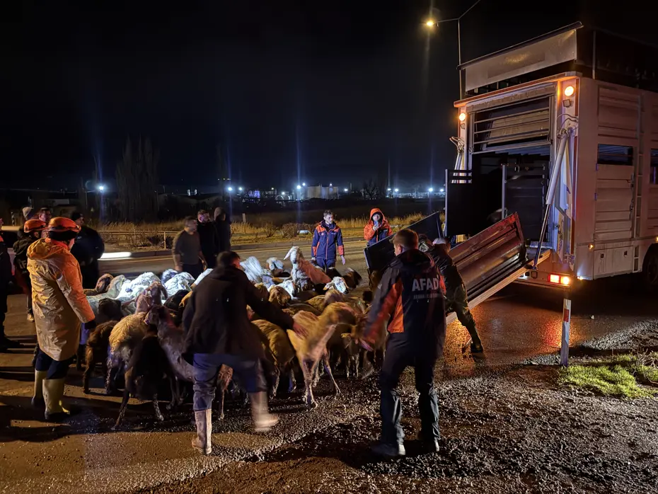 Kayseri'de taşkın önlemi. 200 hayvan tahliye edildi