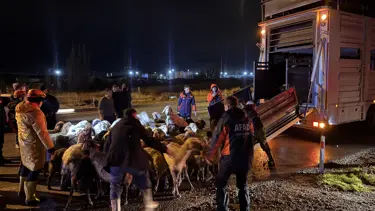 Kayseri'de taşkın önlemi. 200 hayvan tahliye edildi