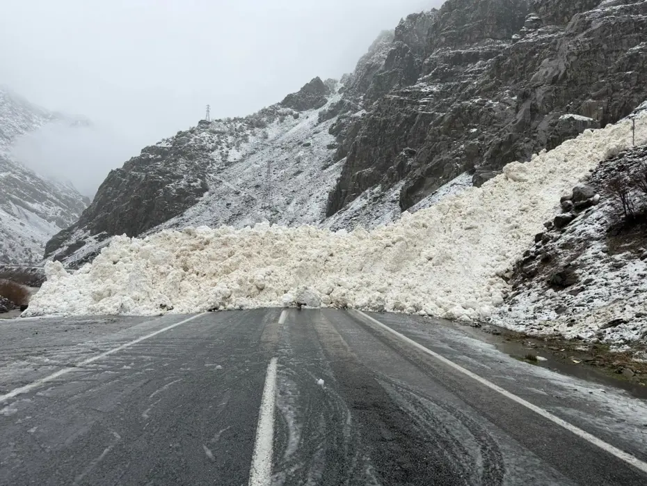 Hakkari-Çukurca kara yolu kapandı. Köyün yakınına düşen çığ görüntülendi