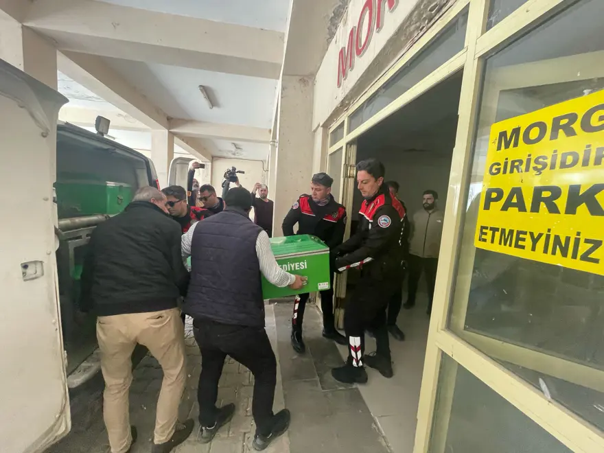NE OLMUŞTU? 6 NE OLMUŞTU? 6