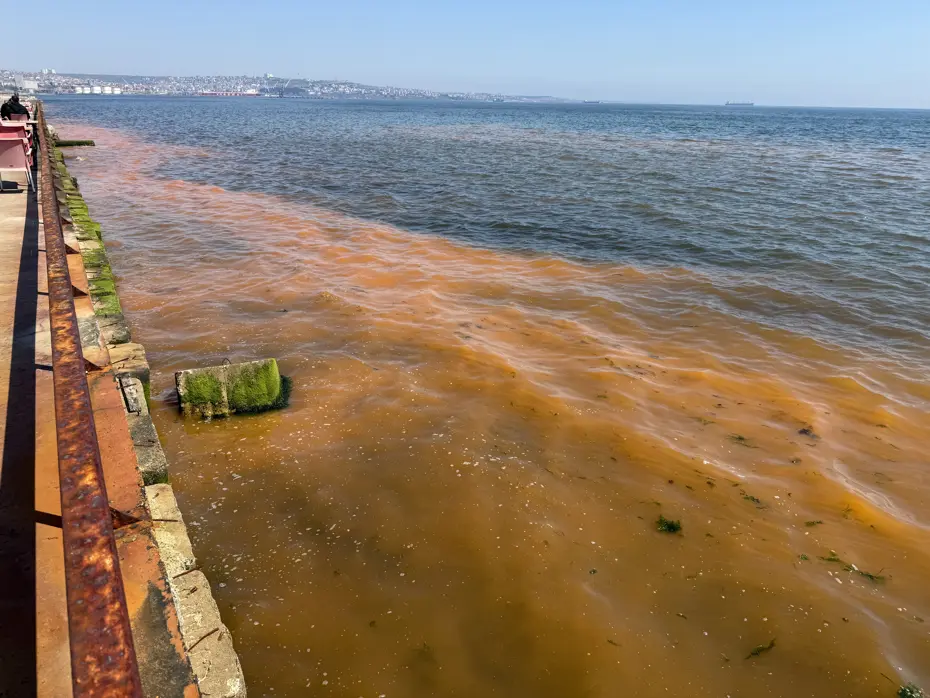 Tekirdağ'da şaşırtan görüntü: Deniz turuncuya döndü