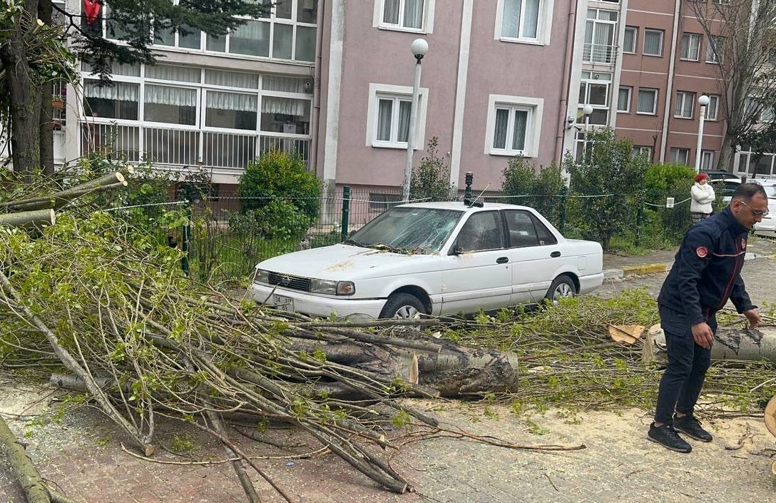 İstanbul'da şiddetli rüzgar. Beylikdüzü'nde ağaç devrildi