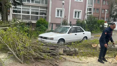 İstanbul'da şiddetli rüzgar. Beylikdüzü'nde ağaç devrildi