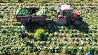 Samsun'dan Rusya'ya satılıyor