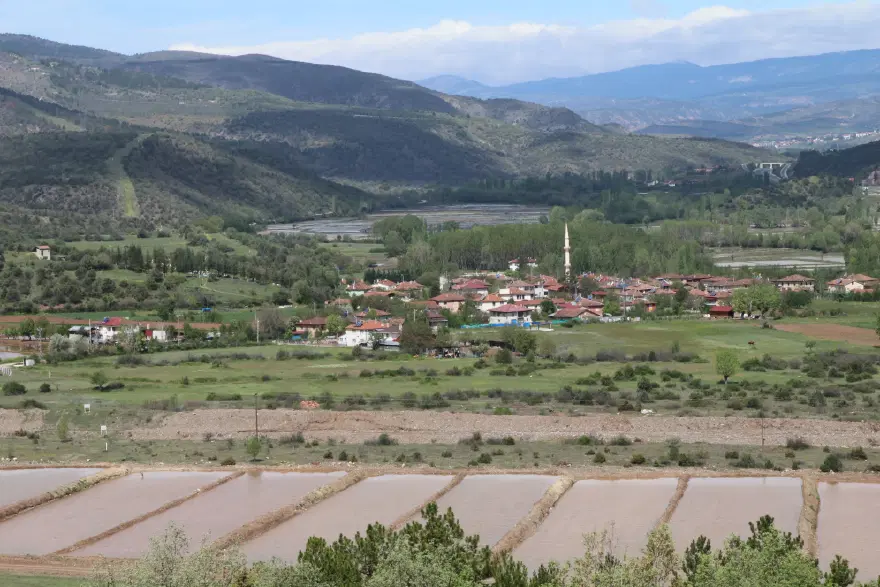 3 bin dekar alana ekildi, şeker oranı sıfır. Yılda 500 ton üretiliyor 