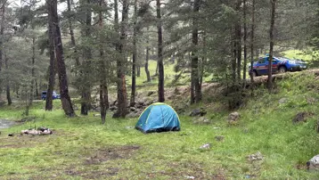 Ormana yıldırım düştü. Kamp yapan aileden 3 kişi yaralandı