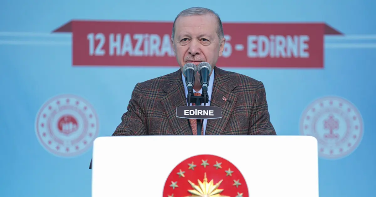 Cumhurbaşkanı Erdoğan: Siz milletvekili misiniz, yoksa militan mı?