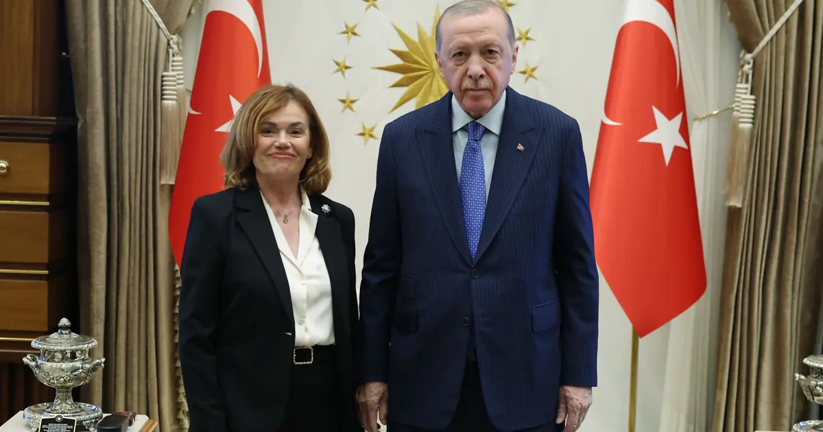Cumhurbaşkanı Erdoğan, İspanya Anayasa Mahkemesi Başkanvekili Huertas ile bir araya geldi