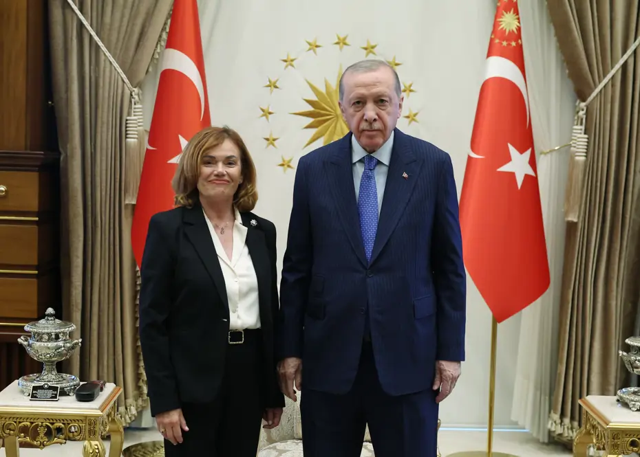Cumhurbaşkanı Erdoğan, İspanya Anayasa Mahkemesi Başkanvekili Huertas ile bir araya geldi