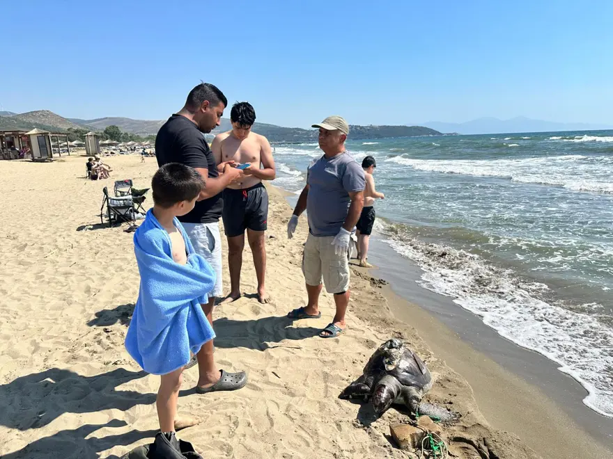 Bir haftada ikinci olay. Parke taşı bağlanan deniz kaplumbağası ölü bulundu 2