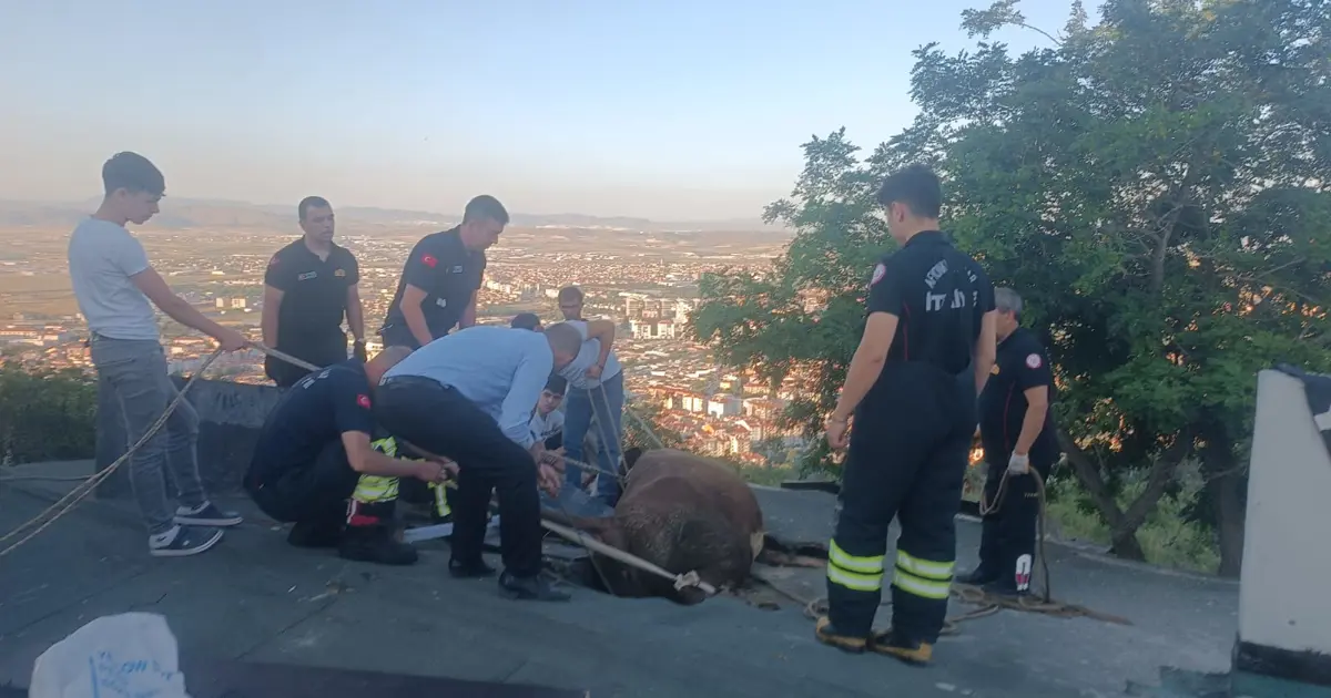 Afyonkarahisar'da bir evin çatısında sıkışan ineği itfaiye kurtardı