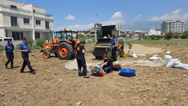 Saman ayırma makinesine sıkışan işçiden acı haber