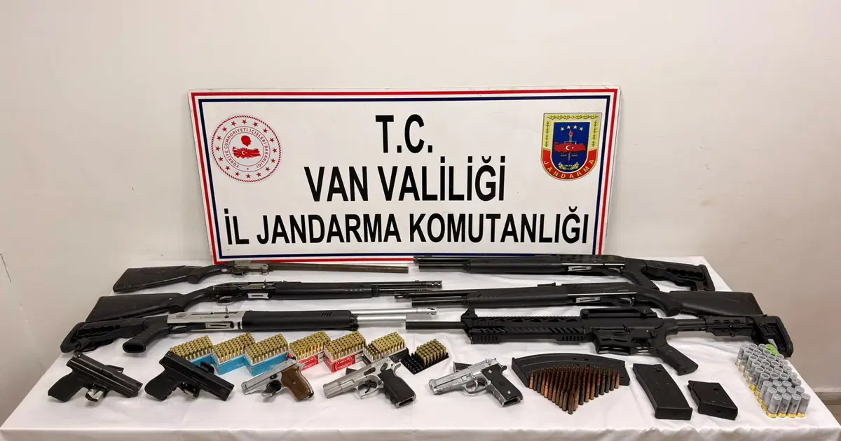 Çobanları silahla tehdit edip 800 küçükbaş hayvanı yağmaladılar