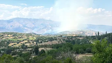 Malatya'daki orman yangını saatler sonra kontrol altında