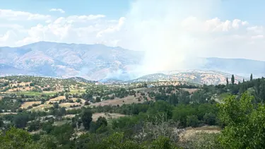 Malatya'daki orman yangını saatler sonra kontrol altında