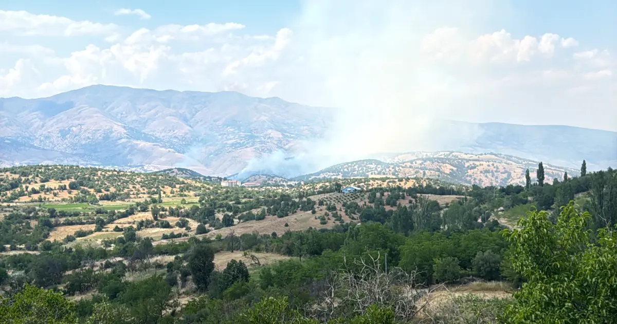 Malatya'daki orman yangını saatler sonra kontrol altında