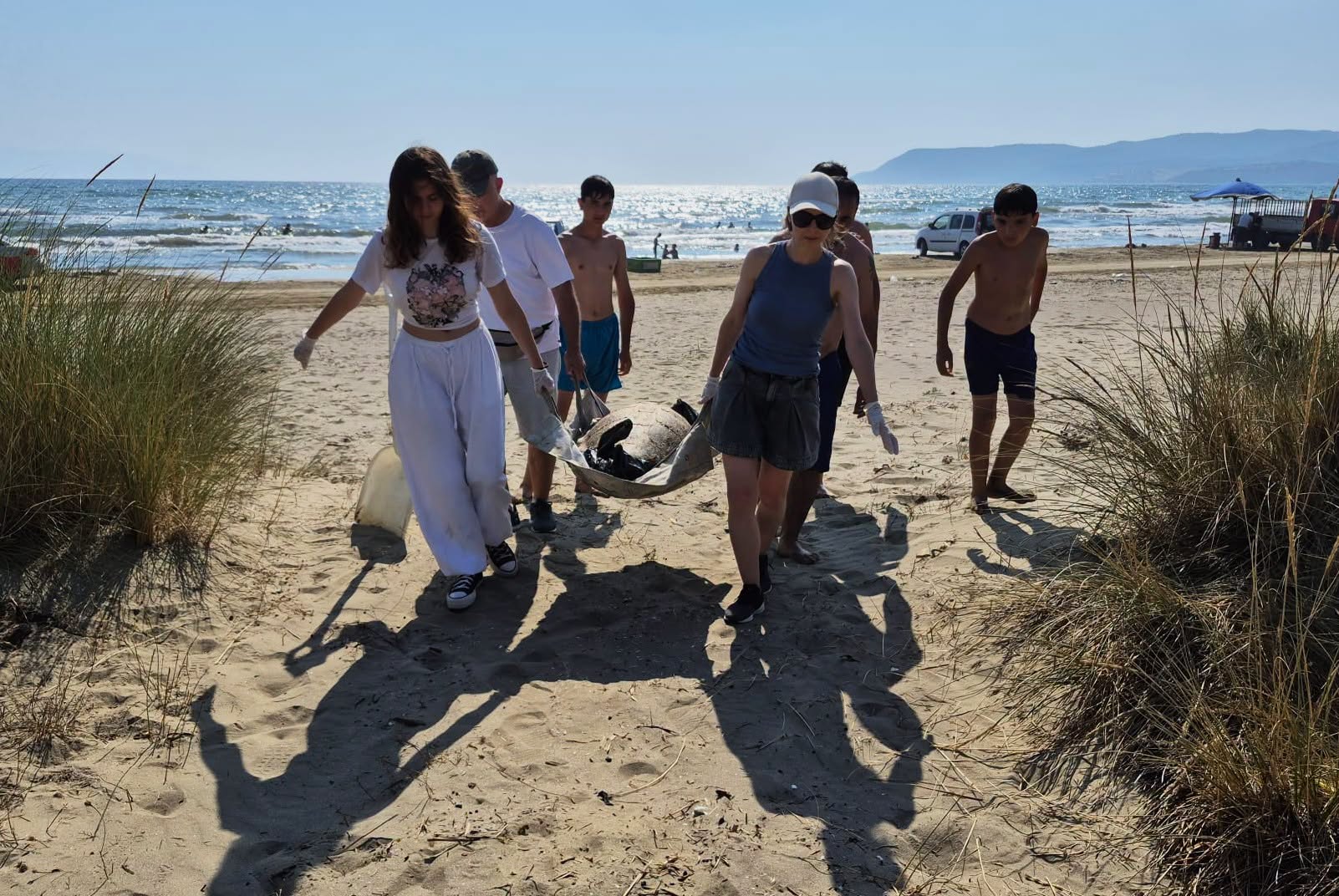 İzmir ve Aydın'da 3 caretta caretta sahilde ölü bulundu