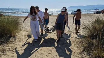 İzmir ve Aydın'da 3 caretta caretta sahilde ölü bulundu