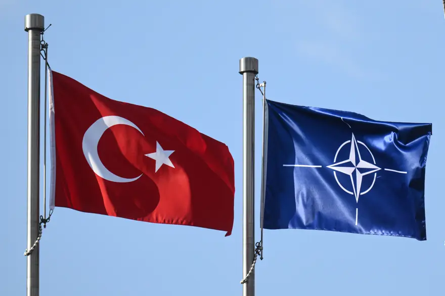 NATO'DA KAÇ ÜLKE VAR? 1