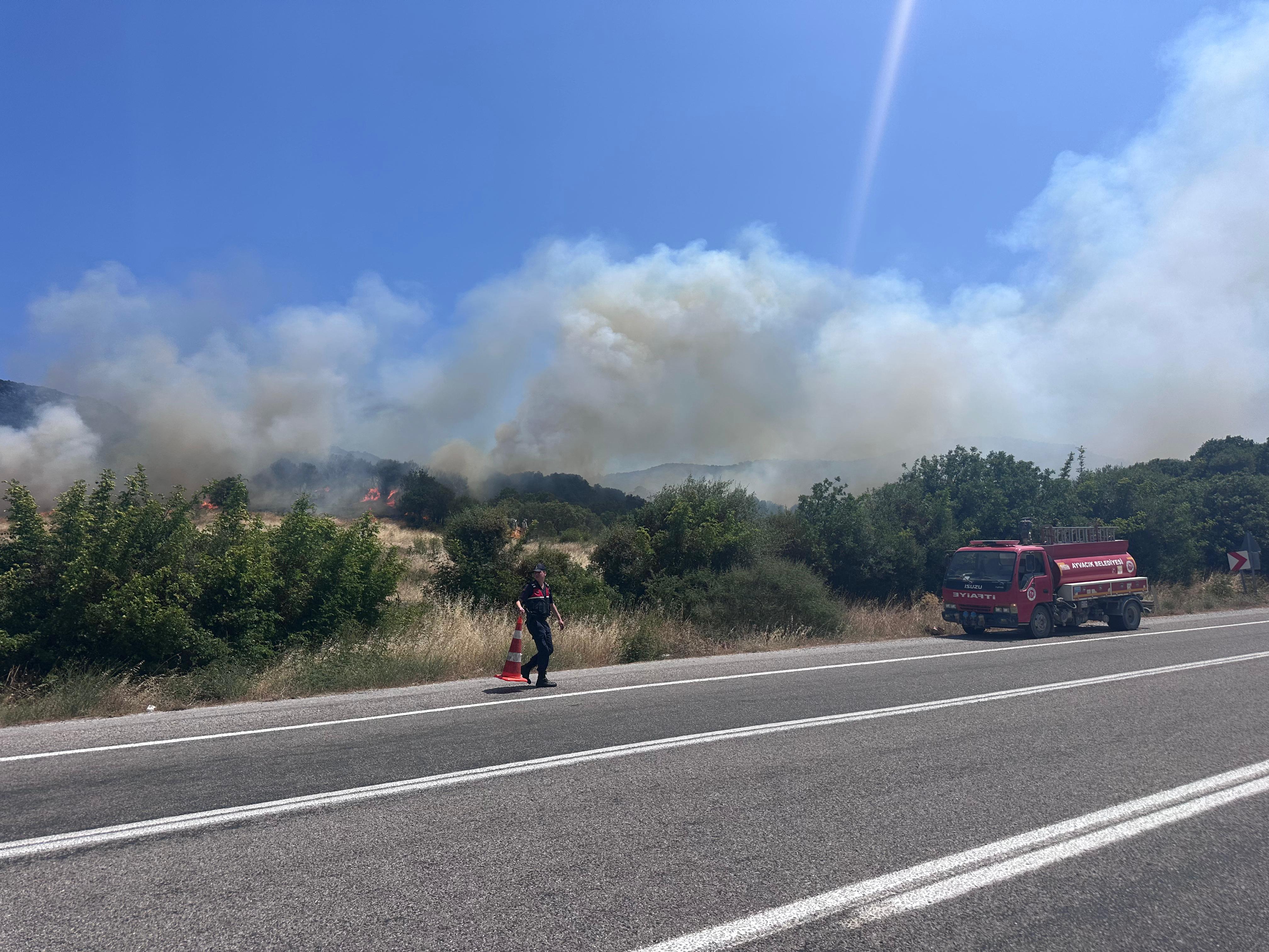 Çanakkale'de orman yangını