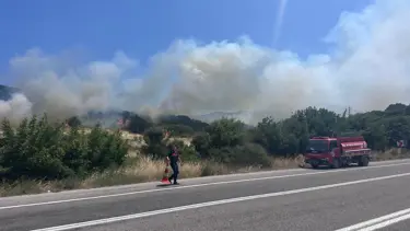 Çanakkale'de orman yangını