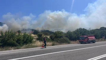 Çanakkale'de orman yangını
