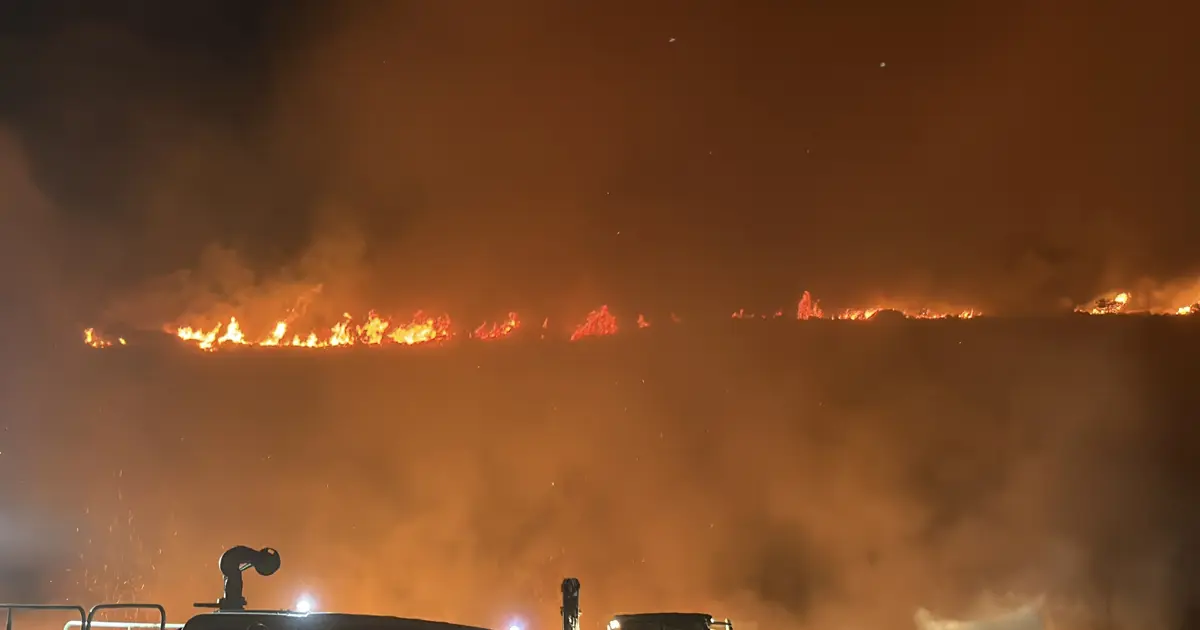 Bodrum'da makilik ve otluk alanda yangın