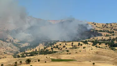 Diyarbakır'da örtü yangını. Ekipler müdahale ediliyor