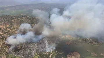 Aydın'da zeytinlik yangını: Ekipler müdahale ediyor