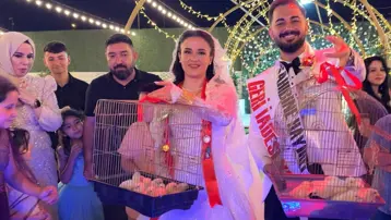 Düğünde altın yerine 100 civciv taktı. Kebapçıdan eski çırağına sıra dışı hediye